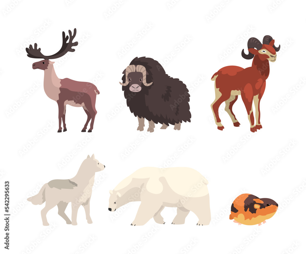 Arctic Animal with Reindeer, Ox, White Fox, Polar Bear, Lemming and Goat Vector Set