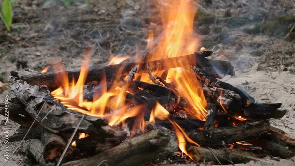 Close-up on a burning-out campfire in the forest. Filmed in summer evening. Close-up on a burning-out campfire in the forest. Filmed in summer evening.
