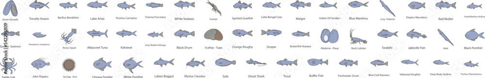 Fish icon collections vector design