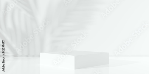White empty room, blank dais, podium or platform background with leaf shadow in the back and reflective floor, rectangular product presentation template mock-up