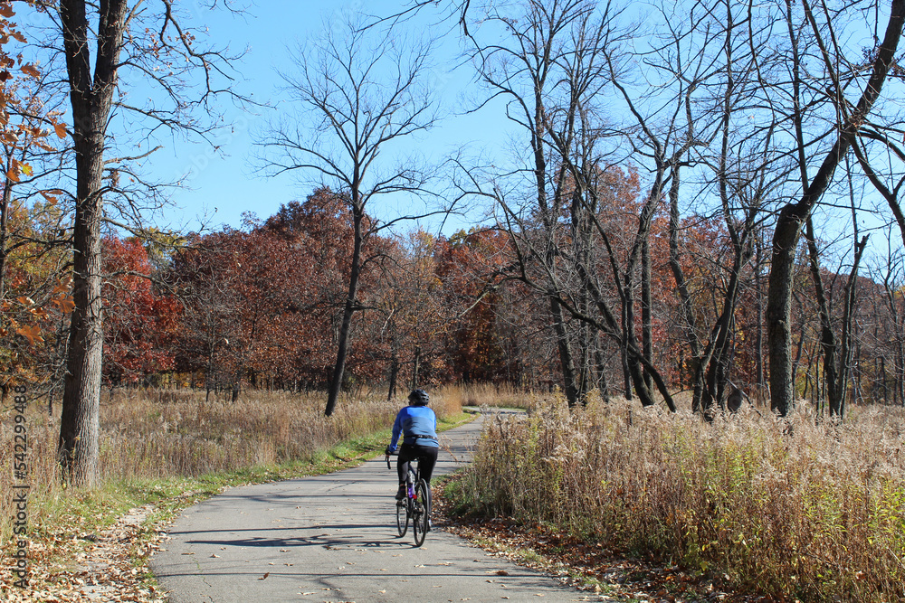 Man riding a bicycle in fall on a sunny day at Miami Woods on the North Branch Trail in Morton Grove, Illinois