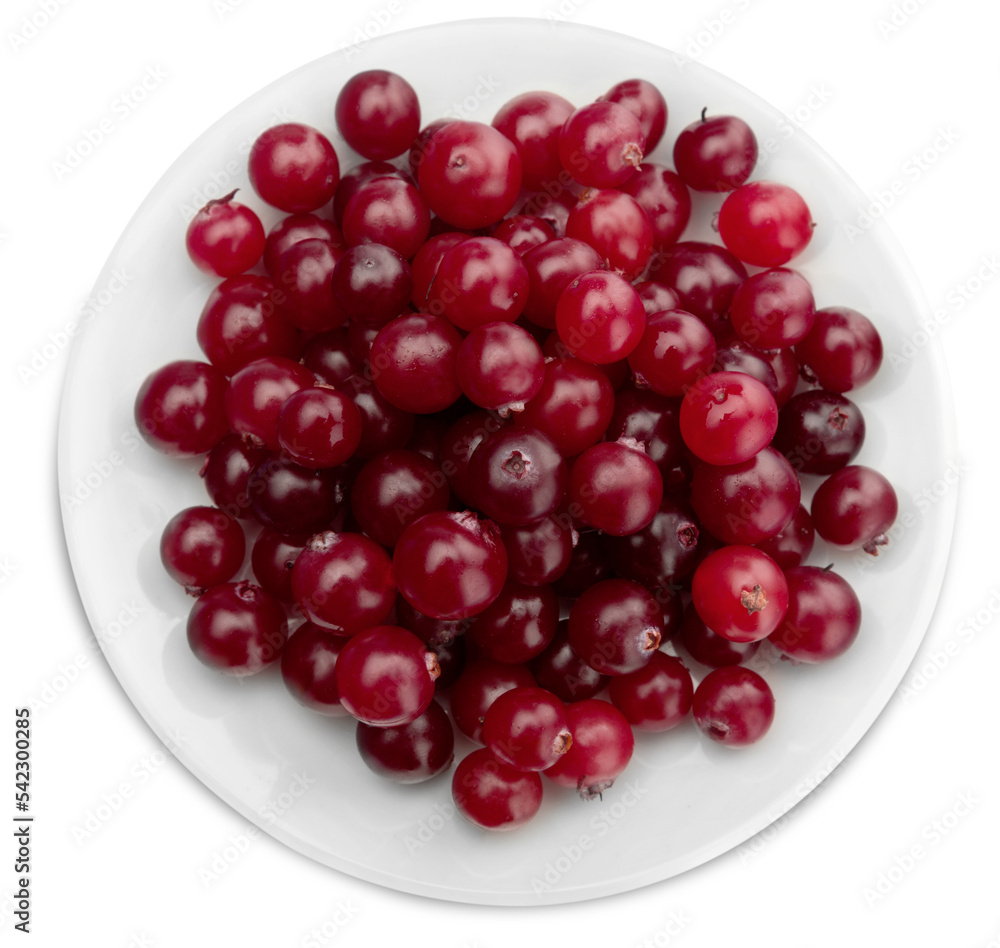 Red ripe cranberries on white plate Red ripe cranberries on white plate