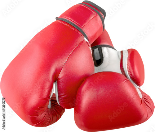 Fotografie, Obraz A pair of boxing gloves Isolated on Transparent Background