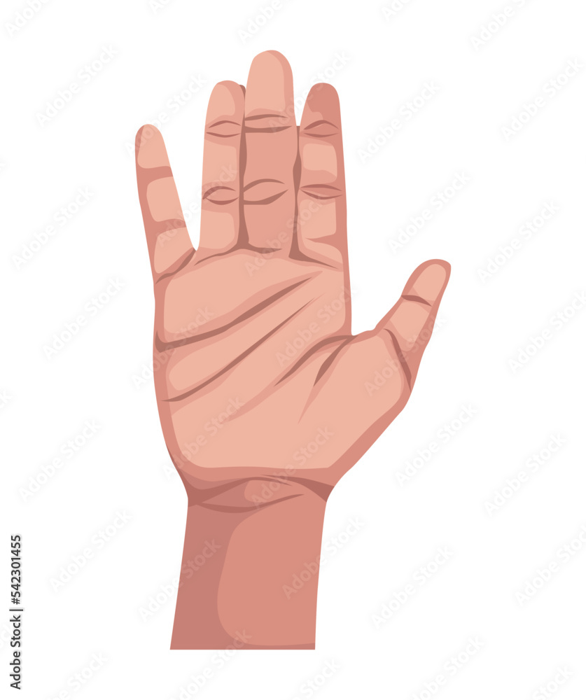 hand human stop hand human stop