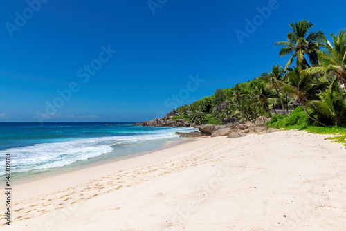 Fototapeta Naklejka Na Ścianę i Meble -  Sandy tropical beach with palms and turquoise sea. Summer vacation and tropical beach concept.