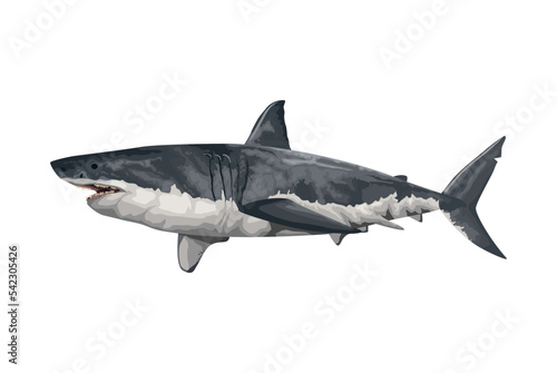 shark marine life animal © Jemastock