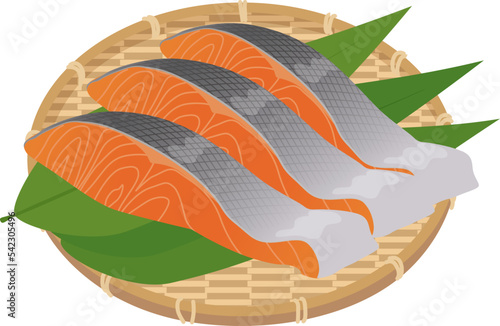 ザルにのった鮭の切り身_ベクターイラスト
