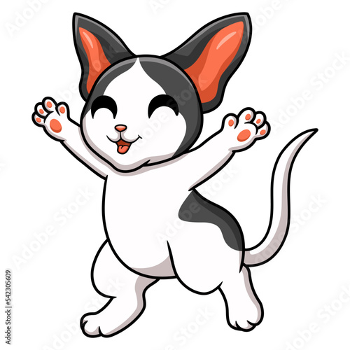 Cute oriental cat cartoon raising hands