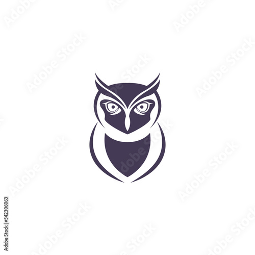 Owl logo icon design illustration © xbudhong