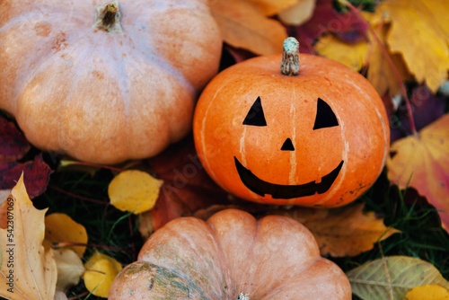 Halloween party. Halloween pumpkin. Halloween is held in autumn, in October