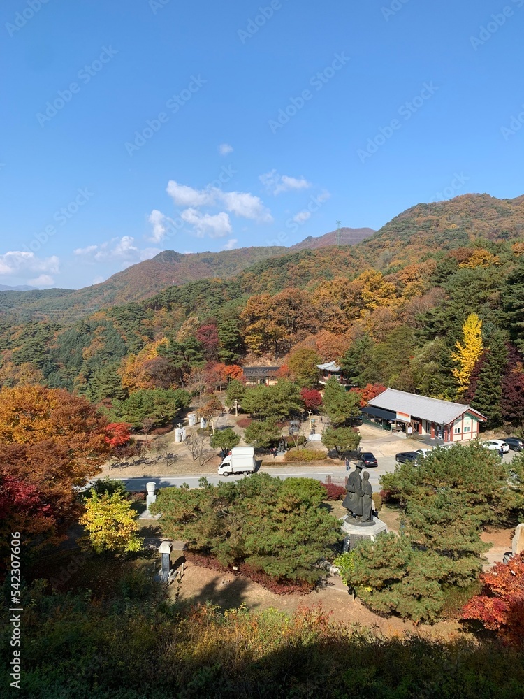 가을 단풍이 예쁜 충북 제천 박달재, 산책로를 걷는 사람 / Bakdaljae Pass in Jecheon, Chungcheongbuk-do, where autumn leaves are pretty, a person who walks on the trail 