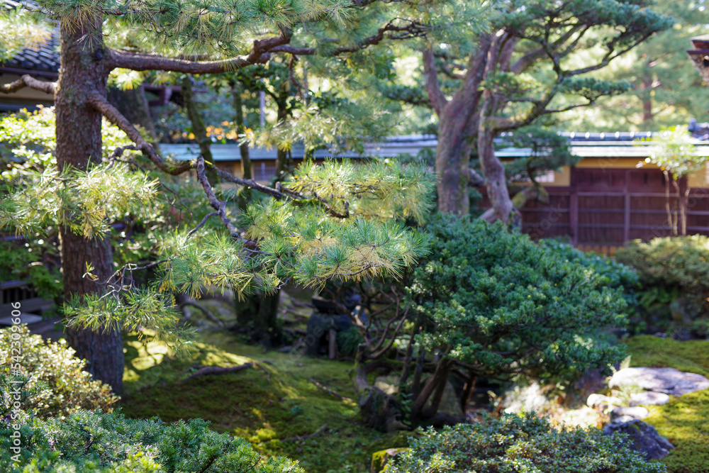 金沢市の成巽閣の庭園
