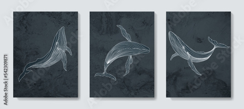 Watercolor art background in blue tones with whales in white art line style. Animal hand drawn poster set for decoration, print, textile, wallpaper, interior design.