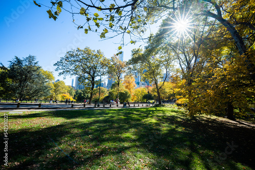 Autumn in Central Park New York City
