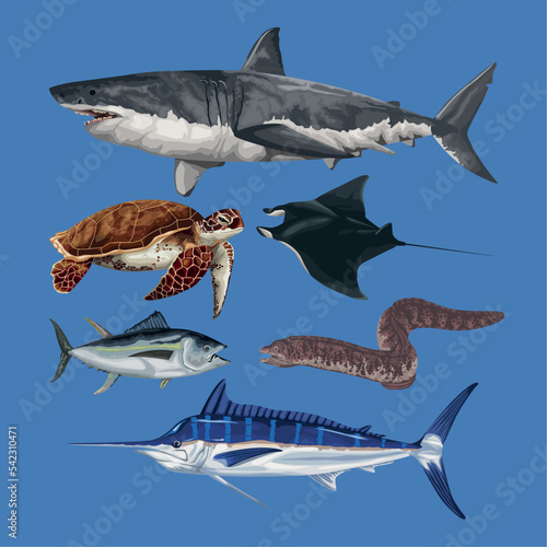 six marine life animals