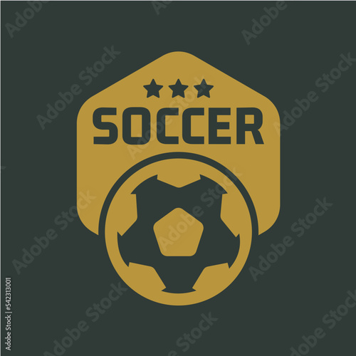 soccer emblem logo luxury style vector