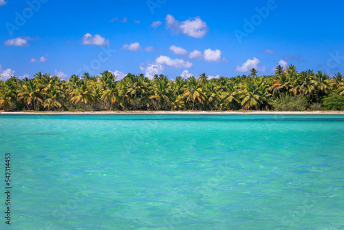 Tropical idyllic caribbean beach with palm trees, Punta Cana, Dominican Republic