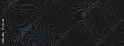 The stylized colorful abstract topographic map with lines and circles background. Topographic map and place for texture. Topographic gradient linear background with copy space.  Vector illustration.