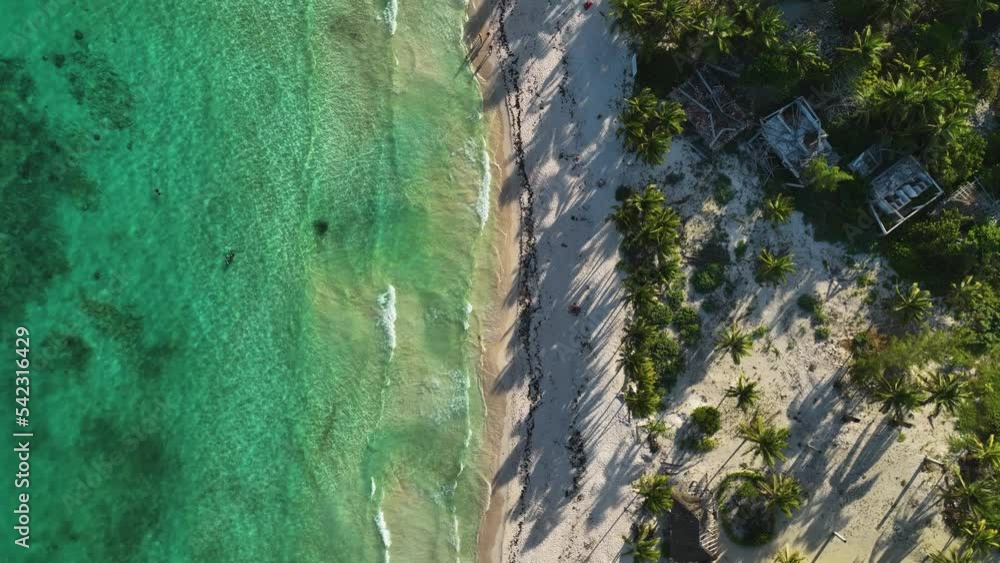 Aerial view over waves at a exotic beach in Playa del Carmen, Mexico - top down, drone shot Aerial view over waves at a exotic beach in Playa del Carmen, Mexico - top down, drone shot