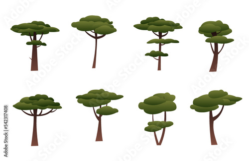 Set of mature desert trees. African acacia. Trees green foliage. Cartoon fun style. Isolated on white background. Flat design. Vector