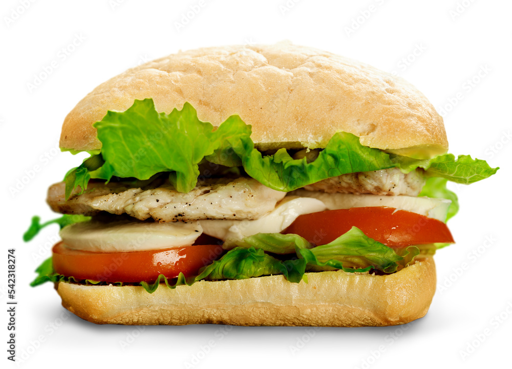 Delicious sandwich with meat, ham and cheese Delicious sandwich with meat, ham and cheese