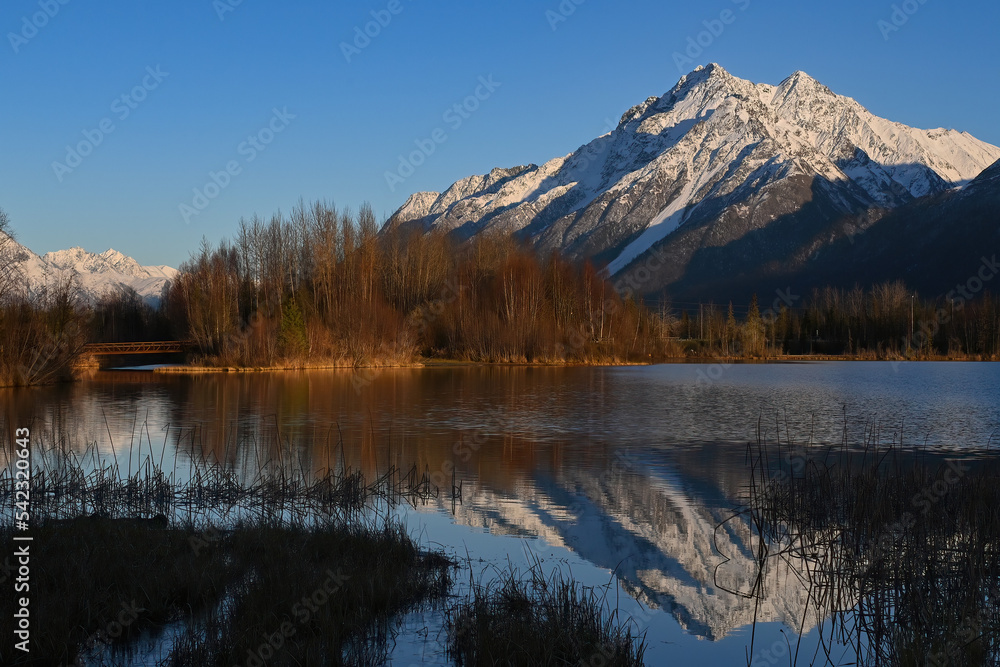 Snowy Pioneer Peak reflection in Reflections Lake, Alaska.