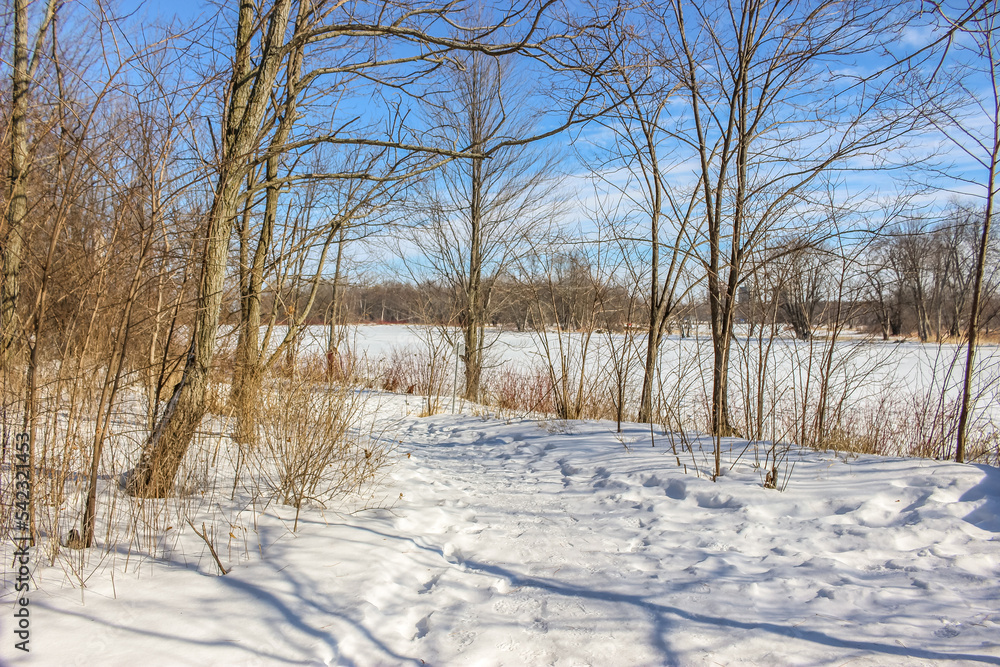 Beautiful winter landscape at the ravine Beautiful winter landscape at the ravine