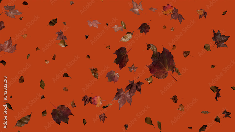 Autumn Themed Wallpaper