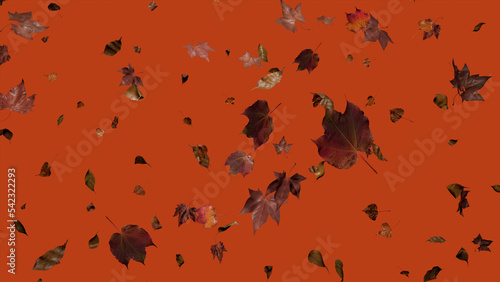 Autumn themed Wallpaper, with Leaves against Orange Color. Seasonal Banner with copy-space.