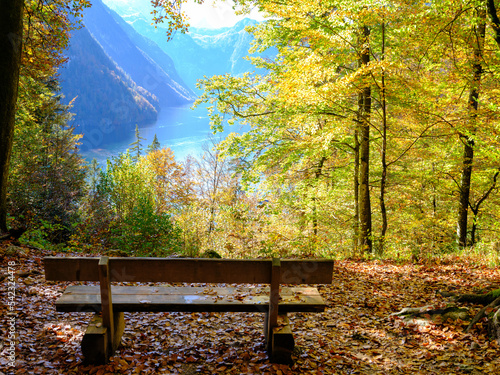 Bench in fall