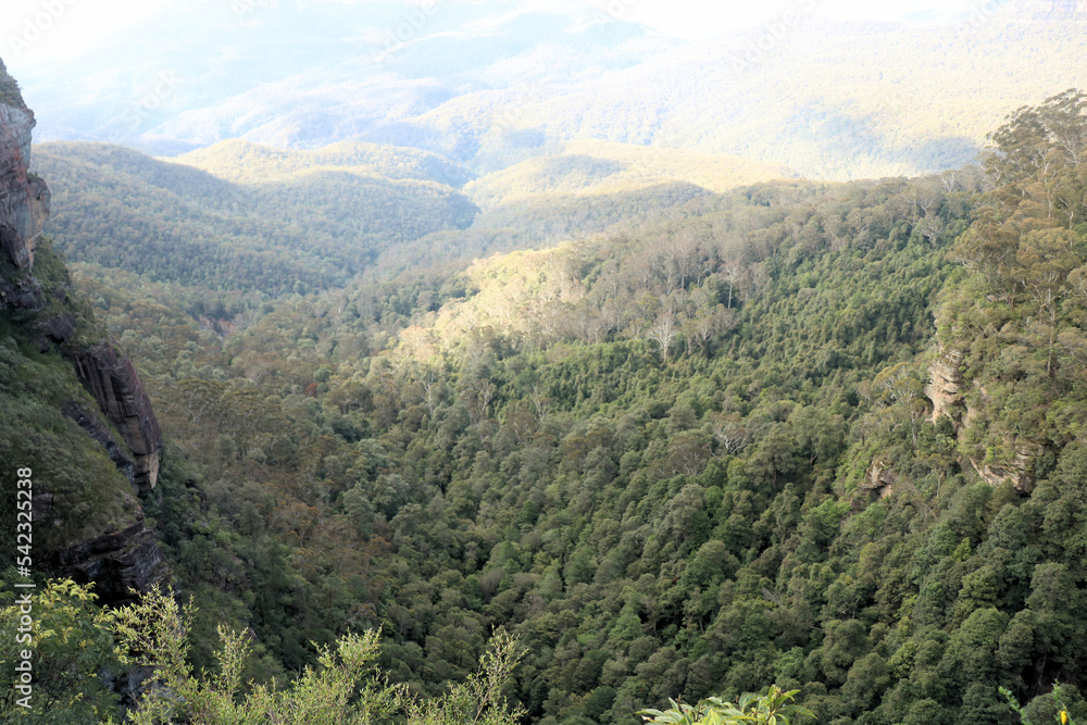 Fototapeta premium Views Over the Megalong Valley From the Prince Henry Walk in Katoomba Blue Mountains New South Wales Australia