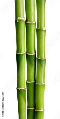 Bamboo © BillionPhotos.com