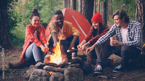Fotografi multiracial group of tourists is cooking food roasting marshmallow on open fire sitting in forest in circle and smiling