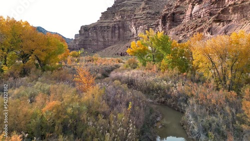 Flying through Fall color over Nine Mile Creek through a canyon in Utah moving through the trees. photo