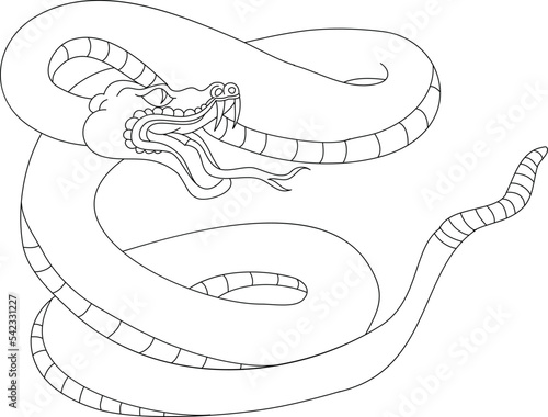 snake cobra tattoo style Cobra vector. king Cobra snake with mouth open.Snake cobra illustration.Rattlesnake vector.