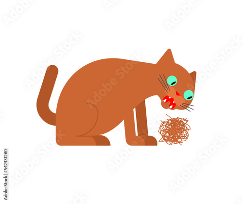 Cat Vomit fur. cat throws up a piece of fur