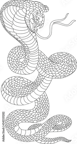 snake cobra tattoo style Cobra vector. king Cobra snake with mouth open.Snake cobra illustration.Rattlesnake vector.