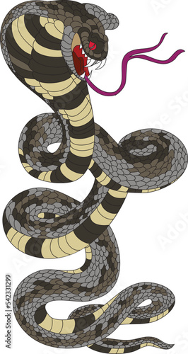 snake cobra tattoo style Cobra vector. king Cobra snake with mouth open.Snake cobra illustration.Rattlesnake vector.