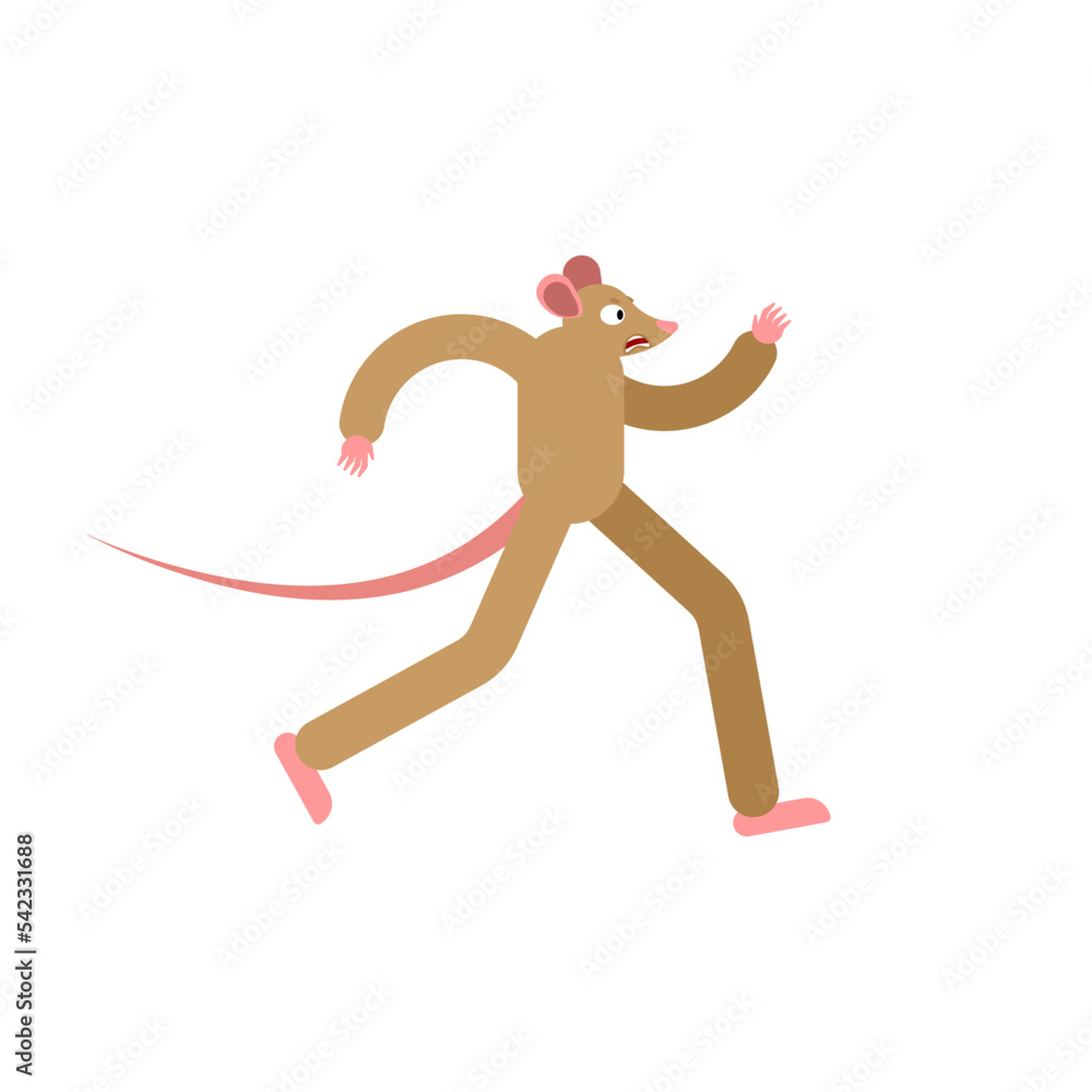 Mouse is running. Rat run. Vector illustration Mouse is running. Rat run. Vector illustration