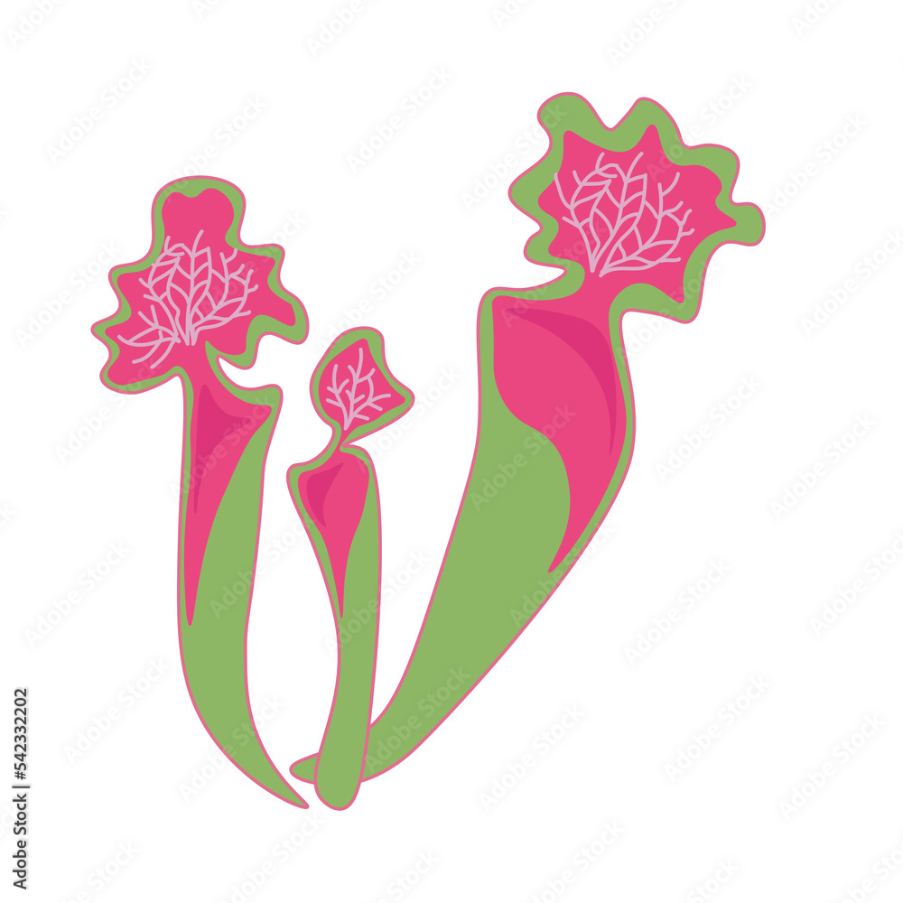 Carnivorous Plant PNG Format With Transparent Background Carnivorous Plant PNG Format With Transparent Background