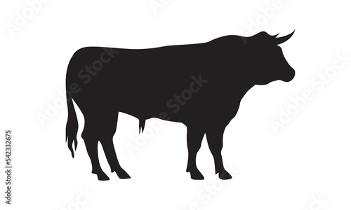 Bull with sharp horns. Aggressive bull standing silhouette vector isolated.