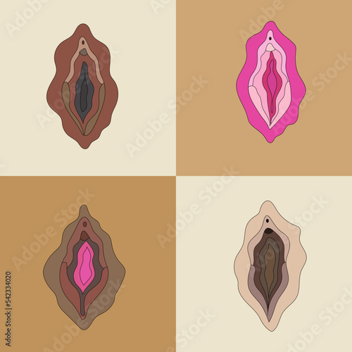 Set of different type of female labia. Illustrator a vagina.Vector in cartoon style. All elements are isolated