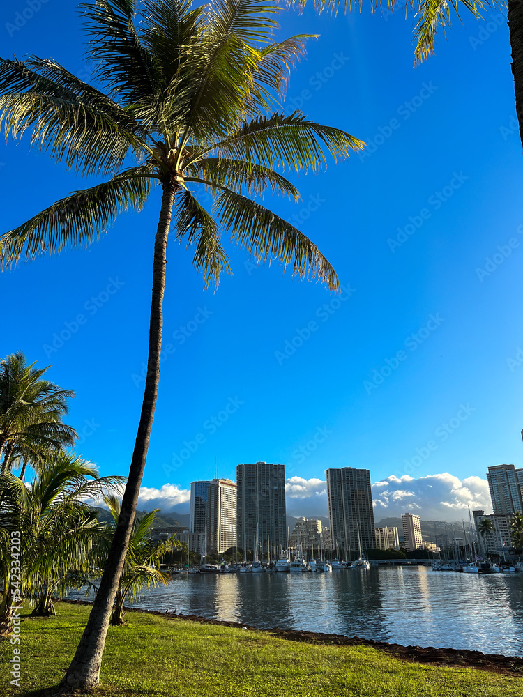 Naklejka premium Honolulu skyline with palm trees in seafront, Hawaii 