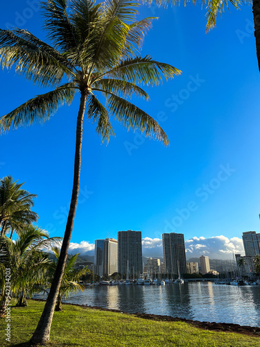 Honolulu skyline with palm trees in seafront, Hawaii 