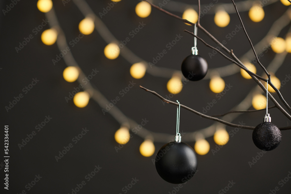 Obraz premium Decorated Treet Branches