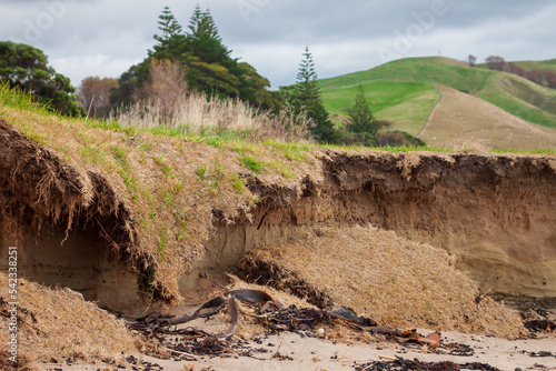 effects of global warming and rising sea level on coastal landscape near Gisborne, New Zealand 