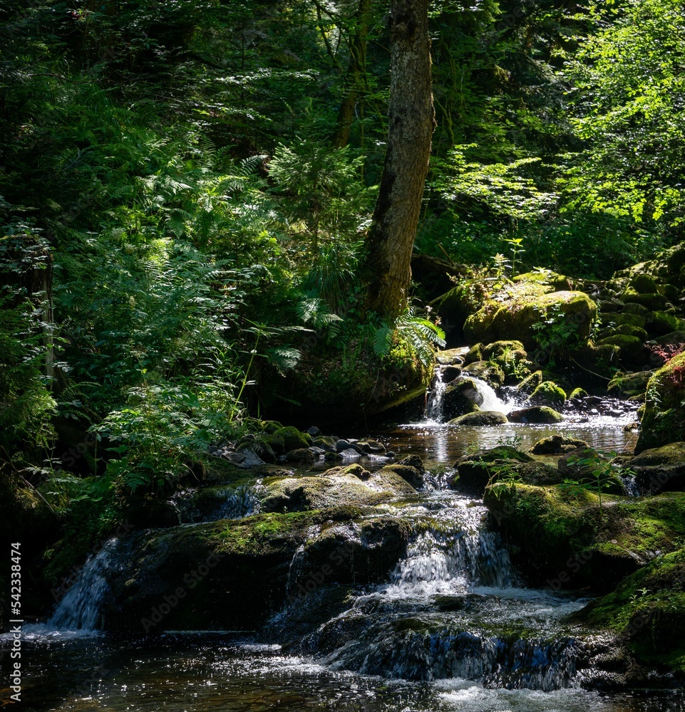 Fototapeta premium Scenic view of a waterfall flowing through rocks covered with greenery in the Black Forest, Germany