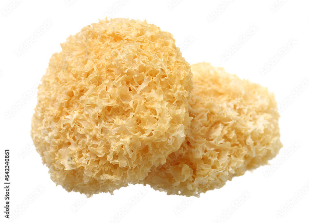 Tremella fuciformis on white background Tremella fuciformis on white background
