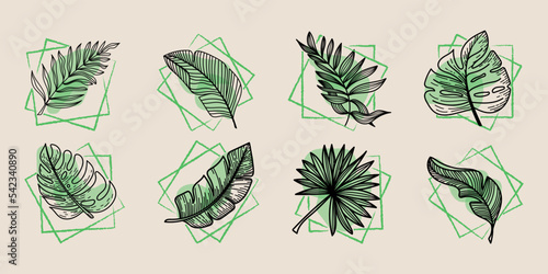 A set of tropical elements tropical monster leaves, banana leaves, etc. Hand-drawn doodle-style elements. Bright greens in abstract squares on beige light background. Tropics. Summer.