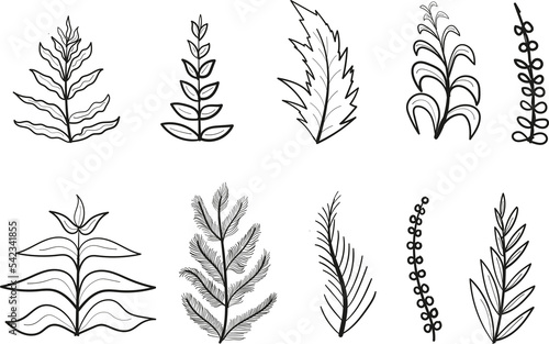 set of laurel wreaths leaf illustration icon